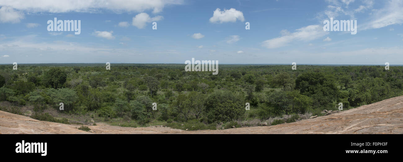 Matekenyane point de vue panorama, Kruger National Park, Afrique du Sud Banque D'Images