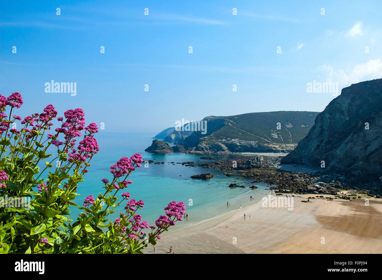 Trevaunance Cove à St.Agnes sur la côte nord de Cornwall, England, UK Banque D'Images