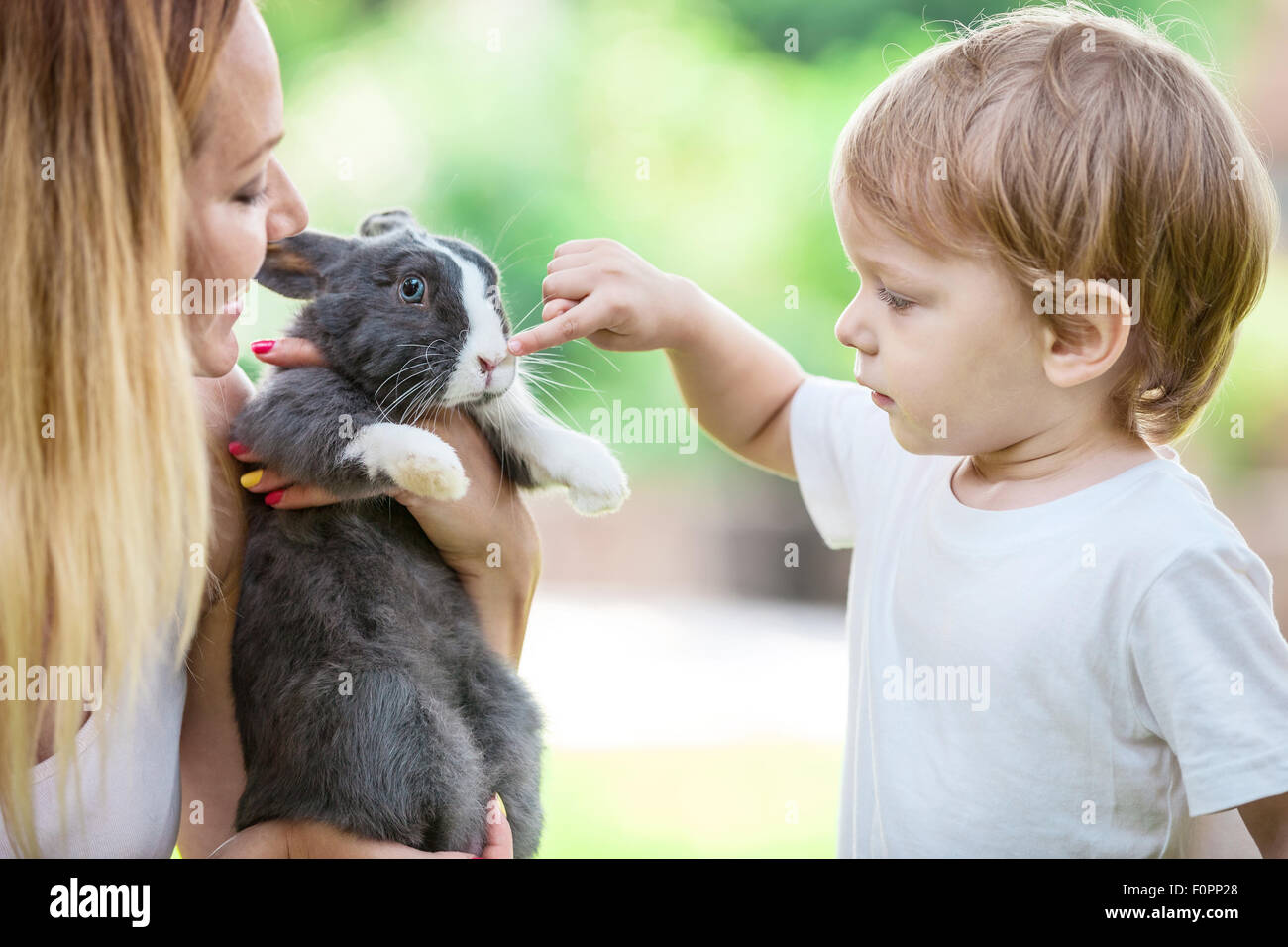 Petit garçon de toucher le nez du lapin animal alors que les jeunes woman is holding pet Banque D'Images