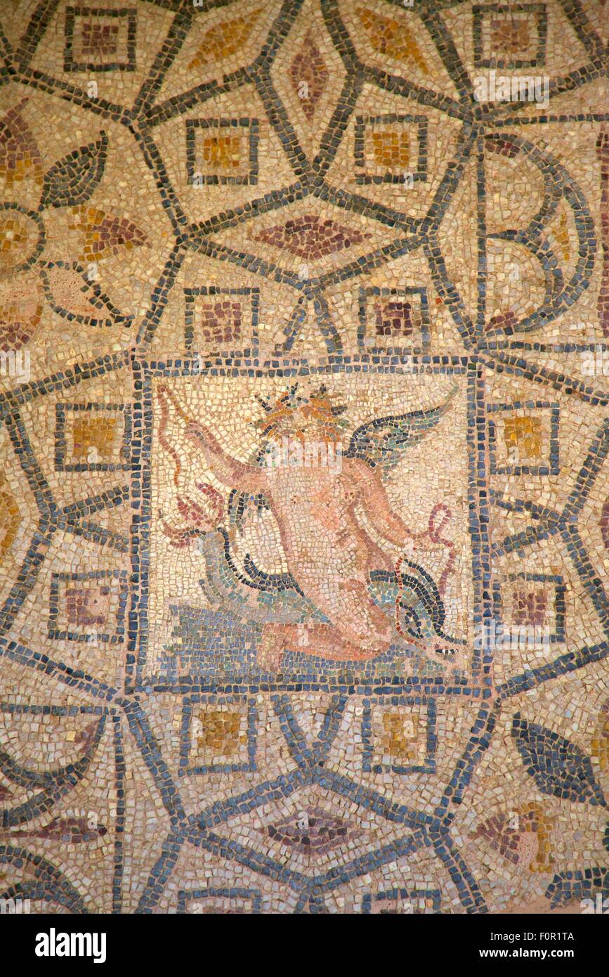 Sol de mosaïque avec Eros à cheval sur un dauphin, Musée archéologique, Rhodes, Dodécanèse, îles grecques, Grèce, Europe Banque D'Images