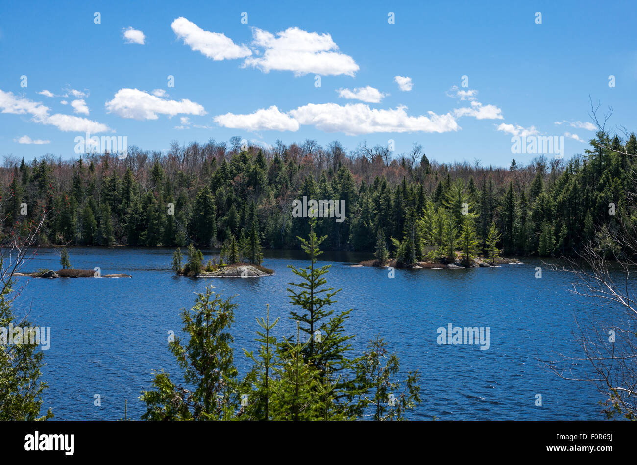 Parc national de la Mauricie, Québec, vue sur le lac Blanc Banque D'Images