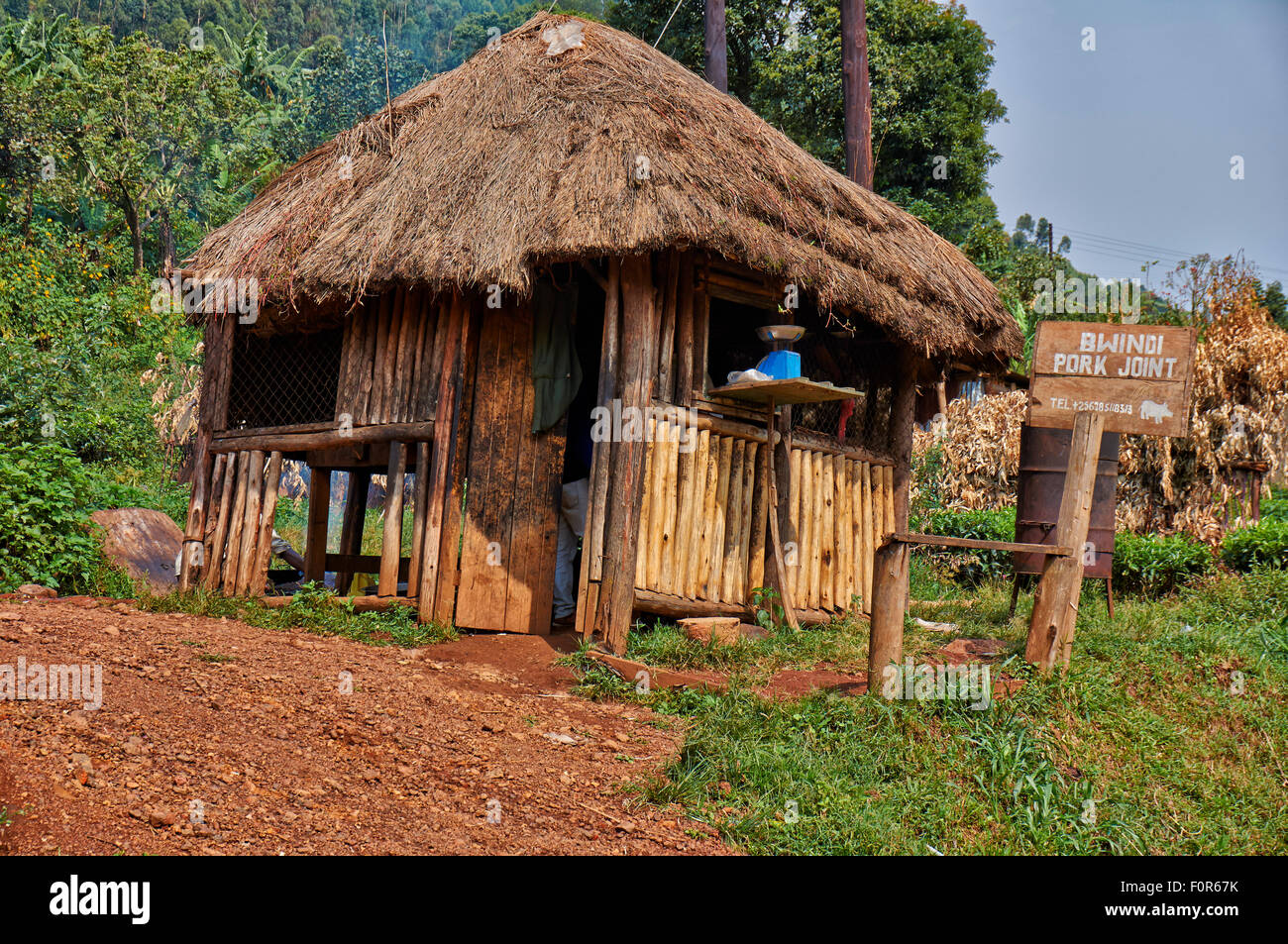 Cabane dans les boucheries, Buhoma Bwindi Impenetrable National Park, Uganda, Afrique Banque D'Images