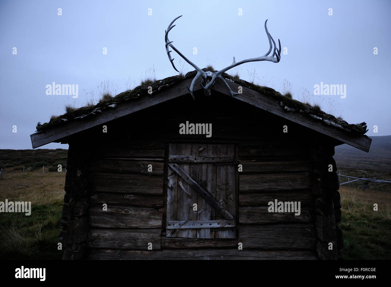 Petit bâtiment en bois avec reindeer antlers sur porte, Forollhogna Parc National, la Norvège, septembre 2008 Banque D'Images