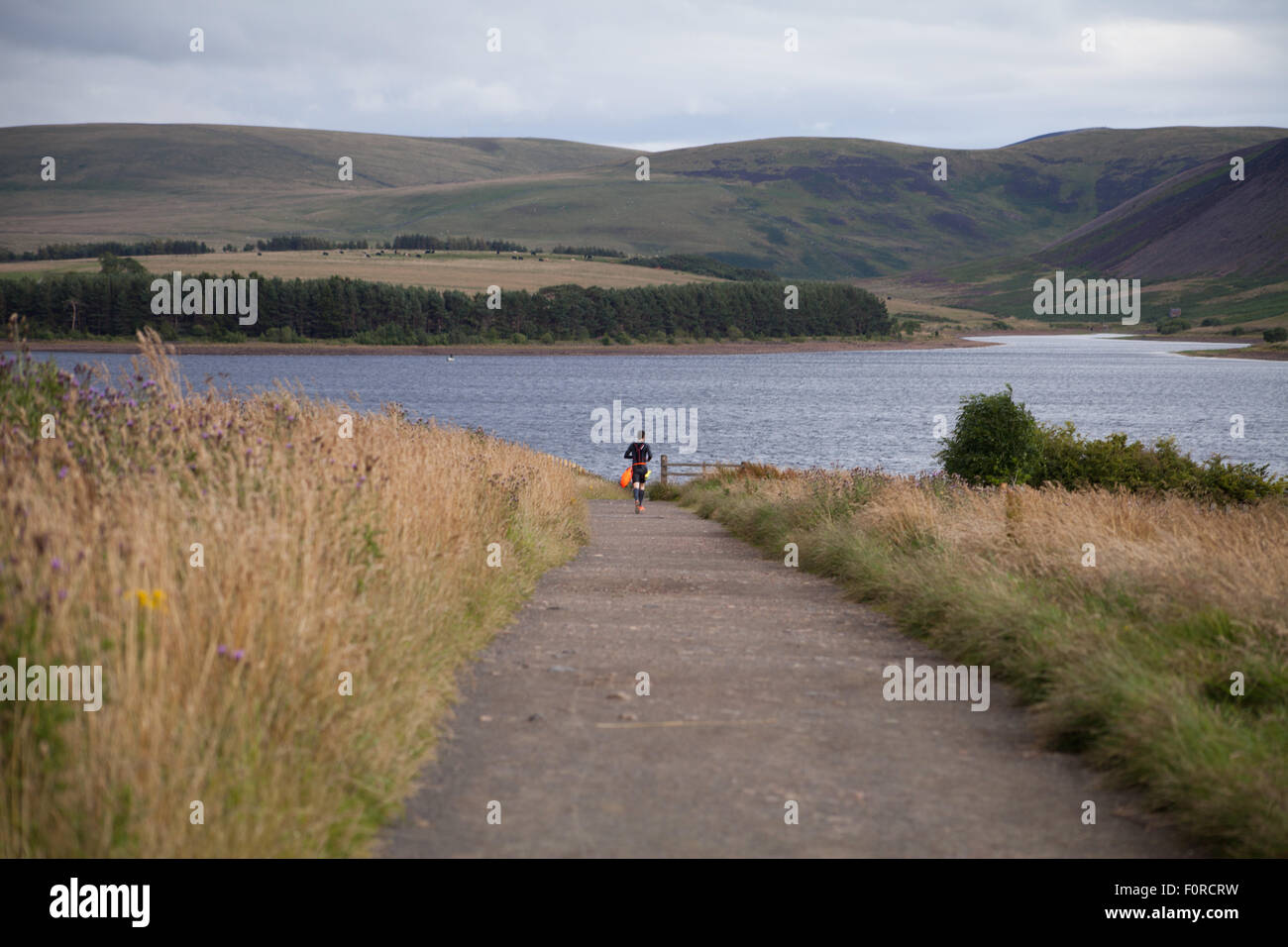 Réservoir d'Harlaw, parc régional Pentland Hills, Édimbourg, Écosse, Royaume-Uni. 20 août, 2015. La météo n'est pas typique pour l'été, 17°C. Par temps venteux et pluvieux après-midi groupe de nageurs se prépare à nager dans l'eau froide dans le réservoir Harlaw. L'endroit commence à être populaire pour les membres de la natation depuis les triathlètes Pentland a commencé à tenir des séances de formation. Credit : Joanna Tkaczuk/Alamy Live News Banque D'Images