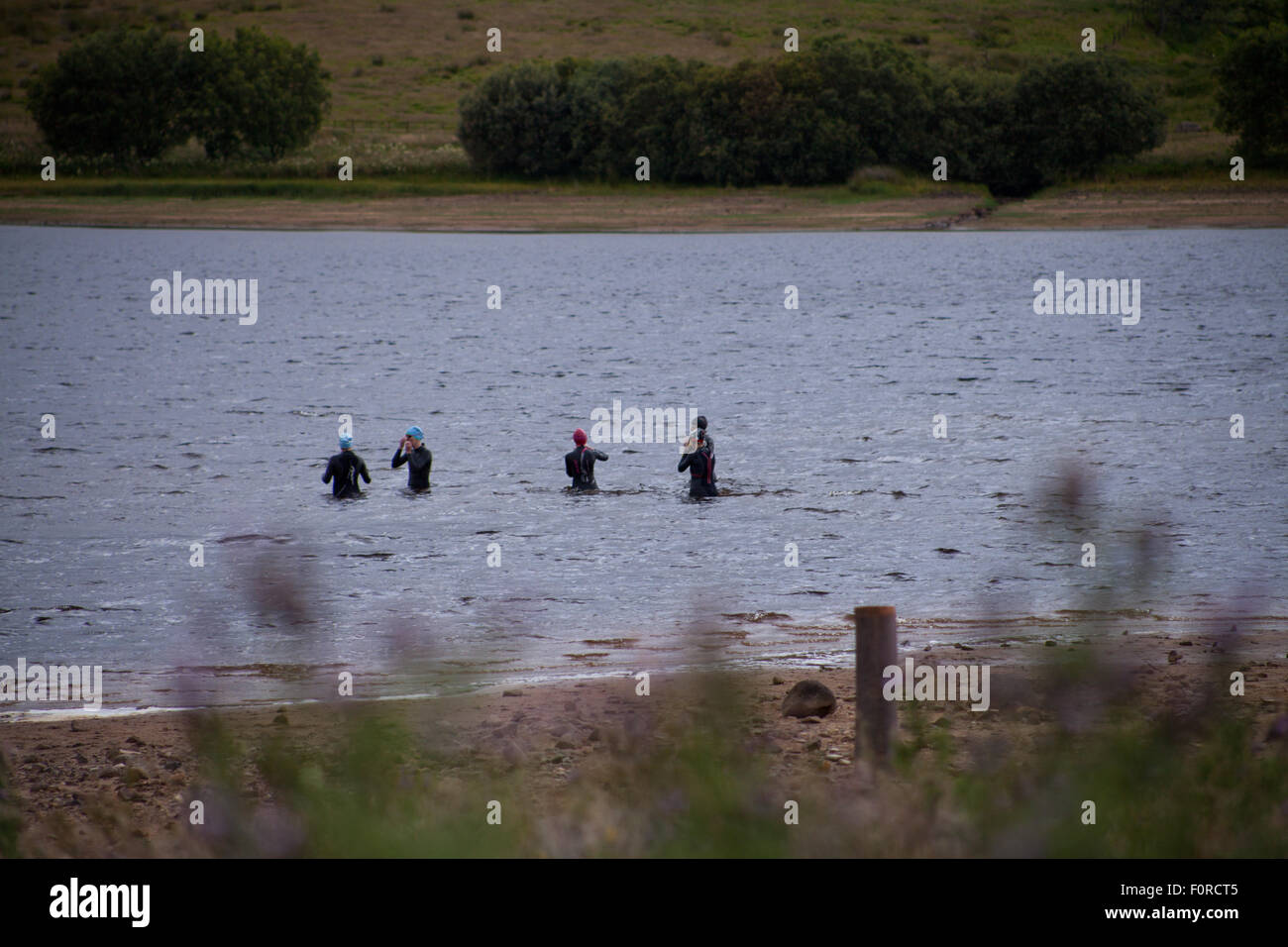 Réservoir d'Harlaw, parc régional Pentland Hills, Édimbourg, Écosse, Royaume-Uni. 20 août, 2015. La météo n'est pas typique pour l'été, 17°C. Par temps venteux et pluvieux après-midi groupe de nageurs se prépare à nager dans l'eau froide dans le réservoir Harlaw. L'endroit commence à être populaire pour les membres de la natation depuis les triathlètes Pentland a commencé à tenir des séances de formation. Credit : Joanna Tkaczuk/Alamy Live News Banque D'Images
