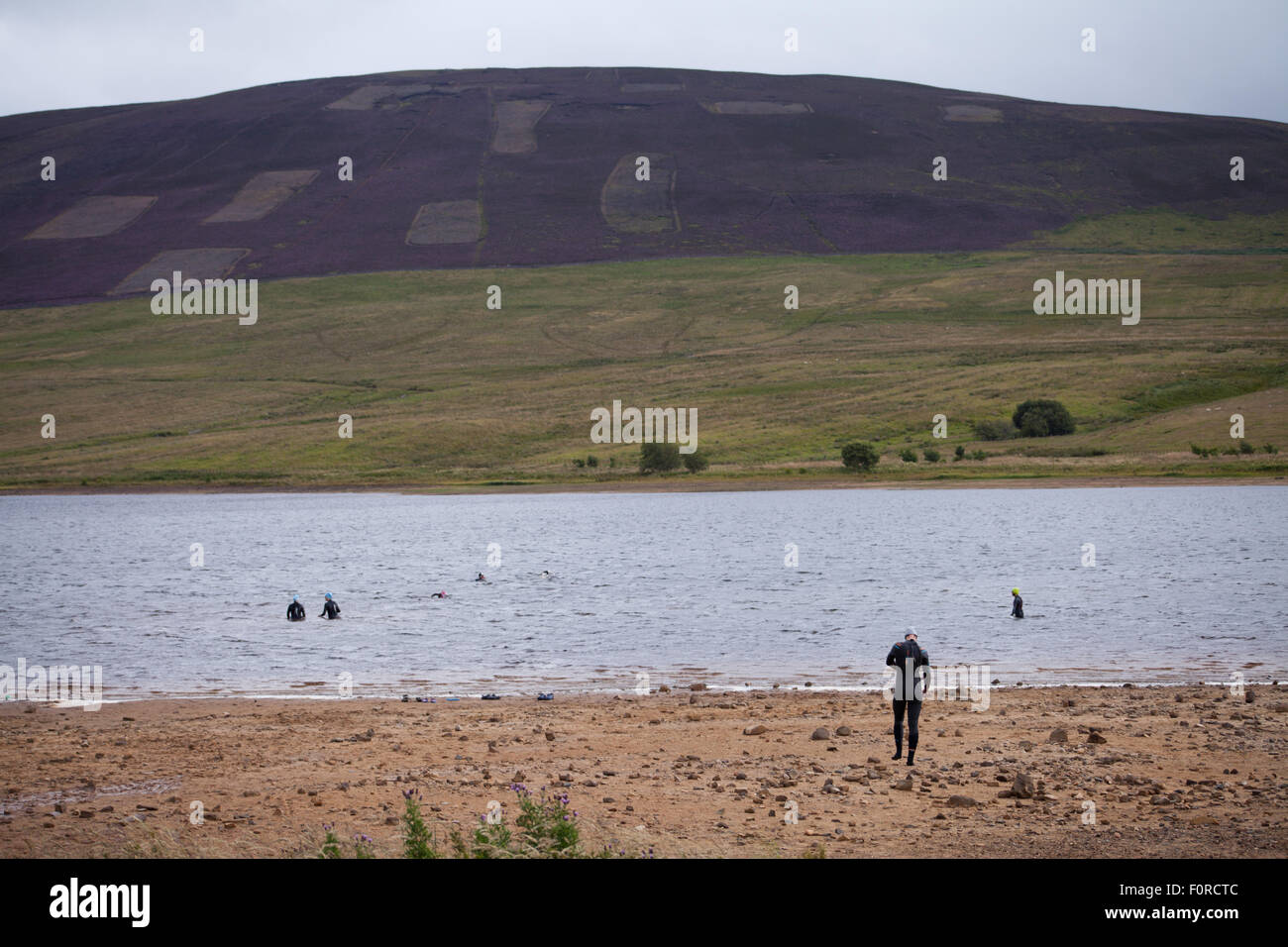 Réservoir d'Harlaw, parc régional Pentland Hills, Édimbourg, Écosse, Royaume-Uni. 20 août, 2015. La météo n'est pas typique pour l'été, 17°C. Par temps venteux et pluvieux après-midi groupe de nageurs se prépare à nager dans l'eau froide dans le réservoir Harlaw. L'endroit commence à être populaire pour les membres de la natation depuis les triathlètes Pentland a commencé à tenir des séances de formation. Credit : Joanna Tkaczuk/Alamy Live News Banque D'Images