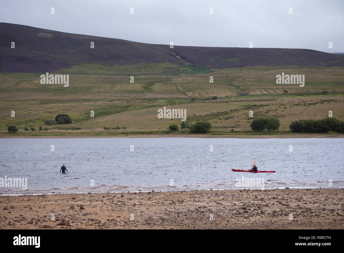 Réservoir d'Harlaw, parc régional Pentland Hills, Édimbourg, Écosse, Royaume-Uni. 20 août, 2015. La météo n'est pas typique pour l'été, 17°C. Par temps venteux et pluvieux après-midi groupe de nageurs se prépare à nager dans l'eau froide dans le réservoir Harlaw. L'endroit commence à être populaire pour les membres de la natation depuis les triathlètes Pentland a commencé à tenir des séances de formation. Credit : Joanna Tkaczuk/Alamy Live News Banque D'Images