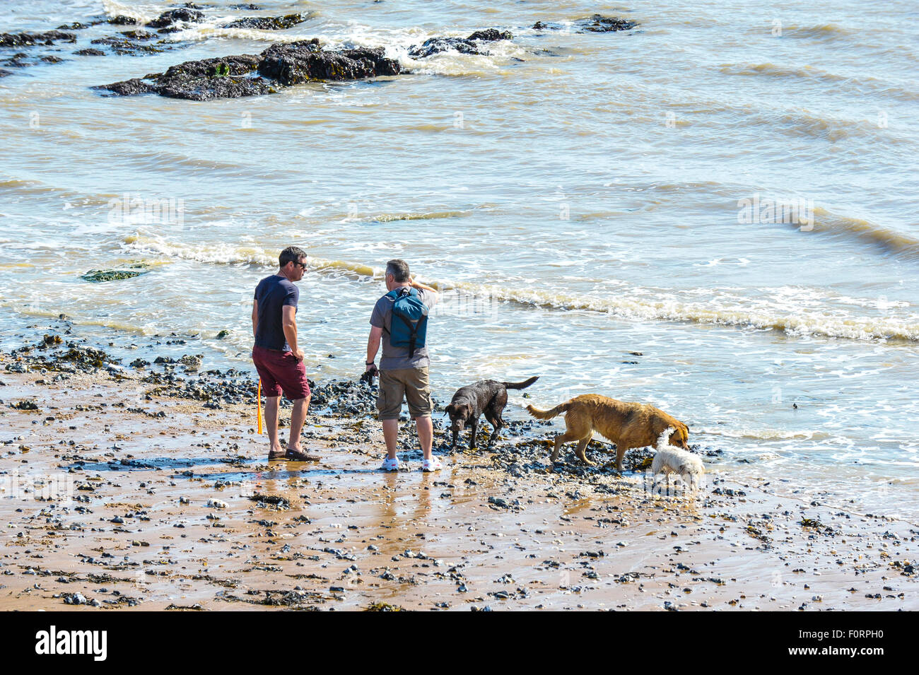 Deux hommes et leurs chiens sur une plage à Broadstairs, Kent. Banque D'Images