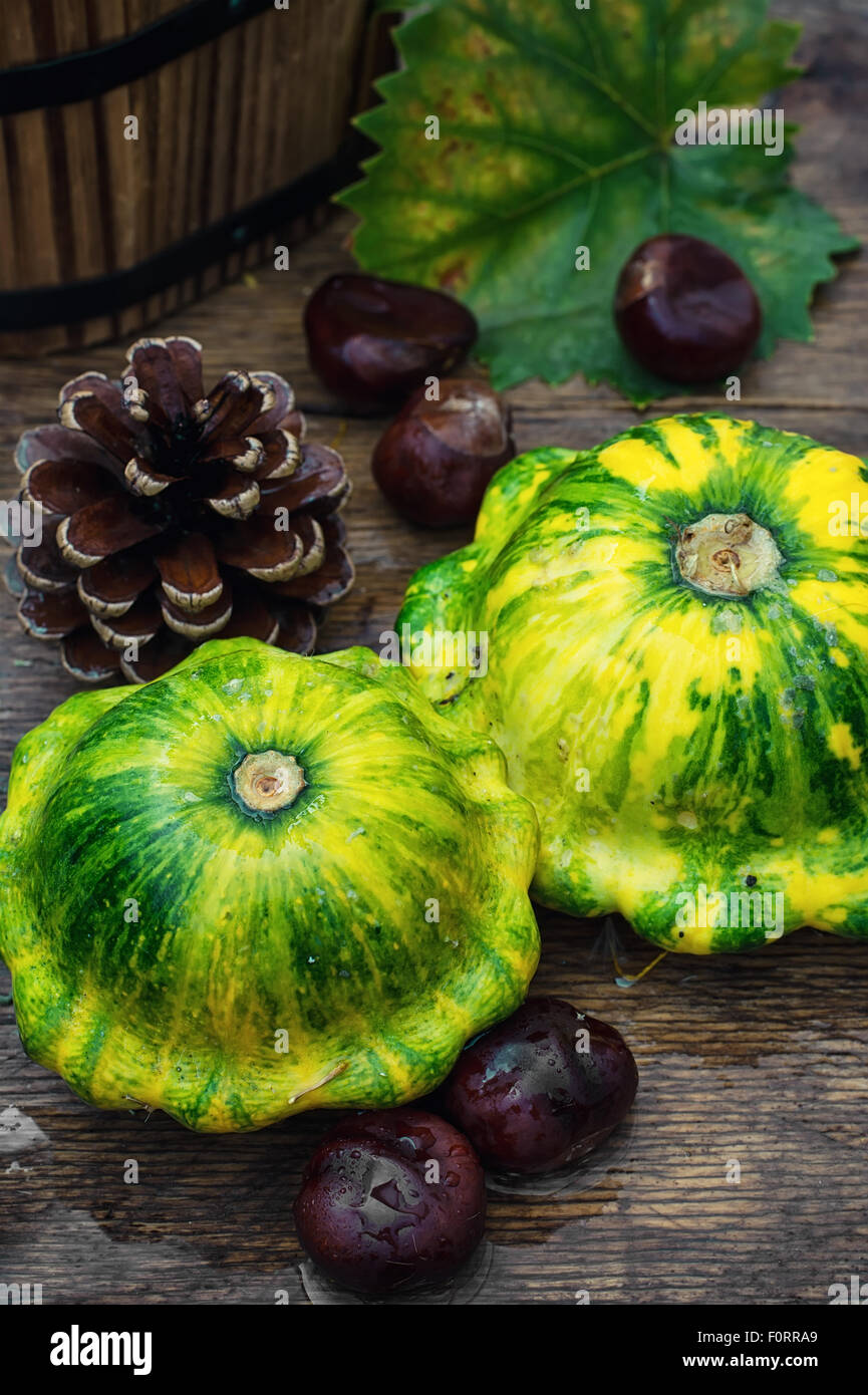 Nature morte à l'automne squash Banque D'Images