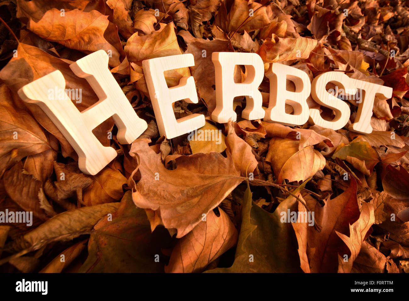Mot allemand pour l'automne, Herbst, écrit sur des feuilles sèches avec des lettres en bois Banque D'Images