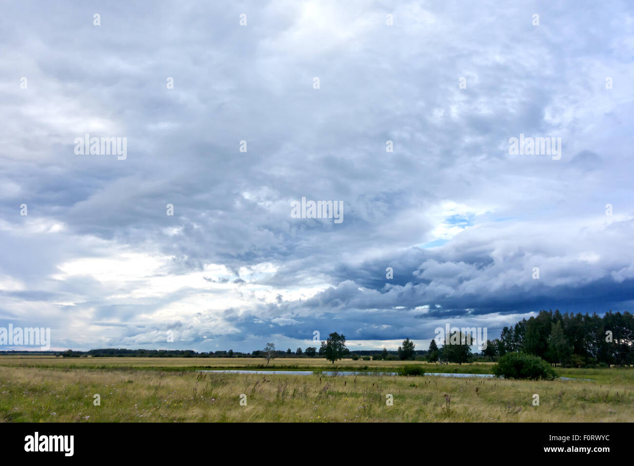 Ciel d'orage et green field Banque D'Images