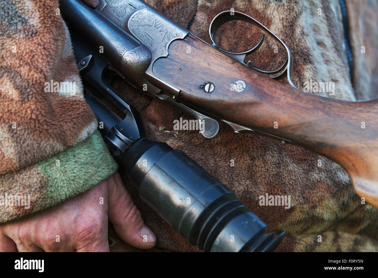 Close-up of hunter's rifle gravure montrant un feu de Red Deer (Cervus elaphus) stag, Leszczowate Bieszczady, région, Pologne, septembre 2011 Parution du modèle Banque D'Images
