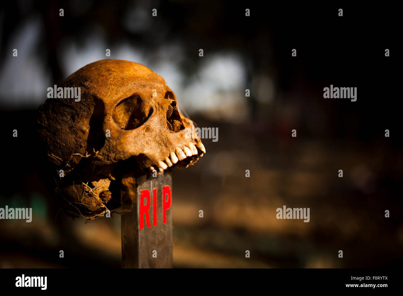 Tête de squelette sur une croix, dans la main. Banque D'Images