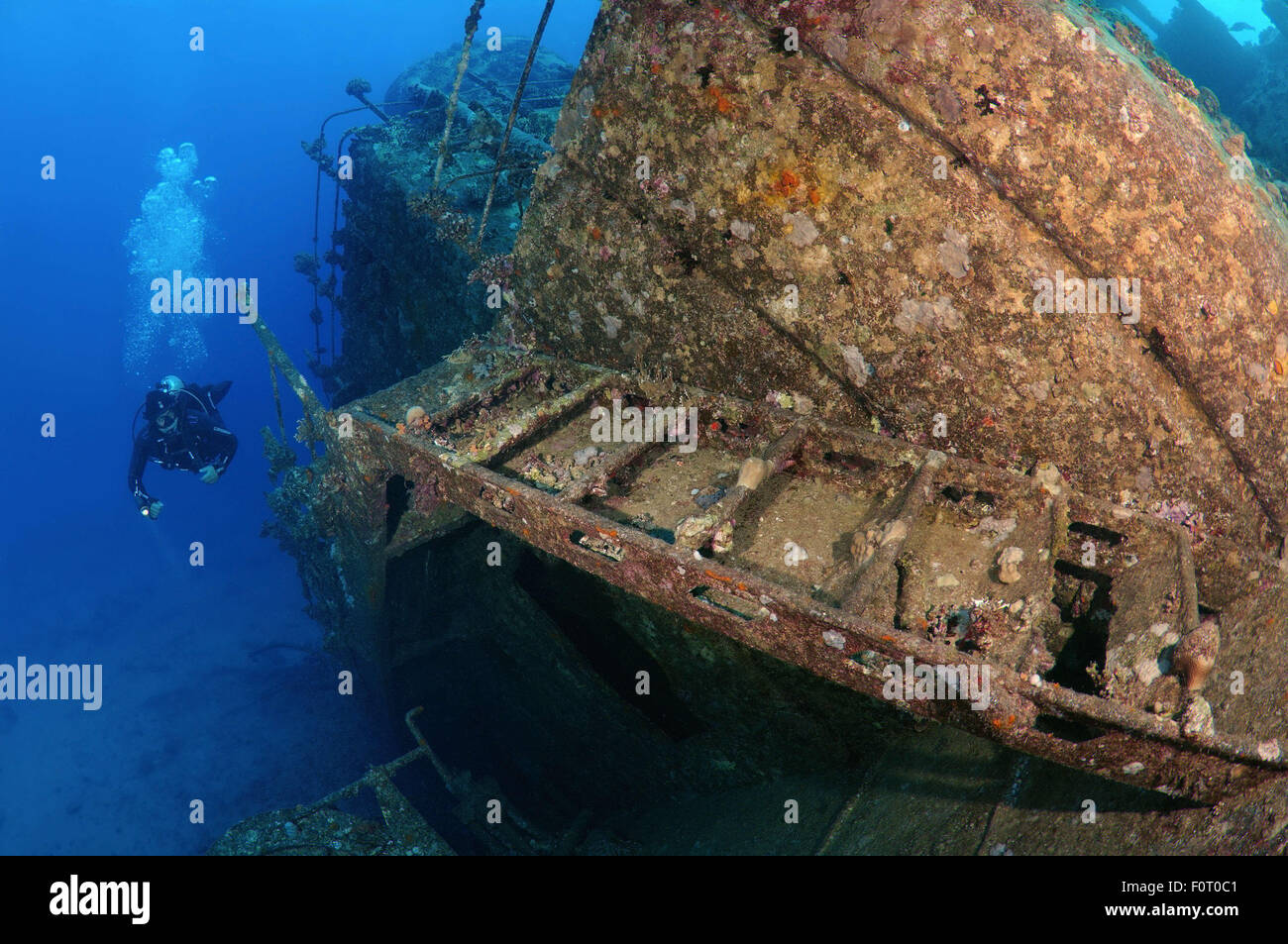 Mer Rouge, Egypte. 15 Oct, 2014. Diver à wreckship à Gianis D. Mer Rouge, Sharm El Sheikh, Egypte © Andrey Nekrasov/ZUMA/ZUMAPRESS.com/Alamy fil Live News Banque D'Images