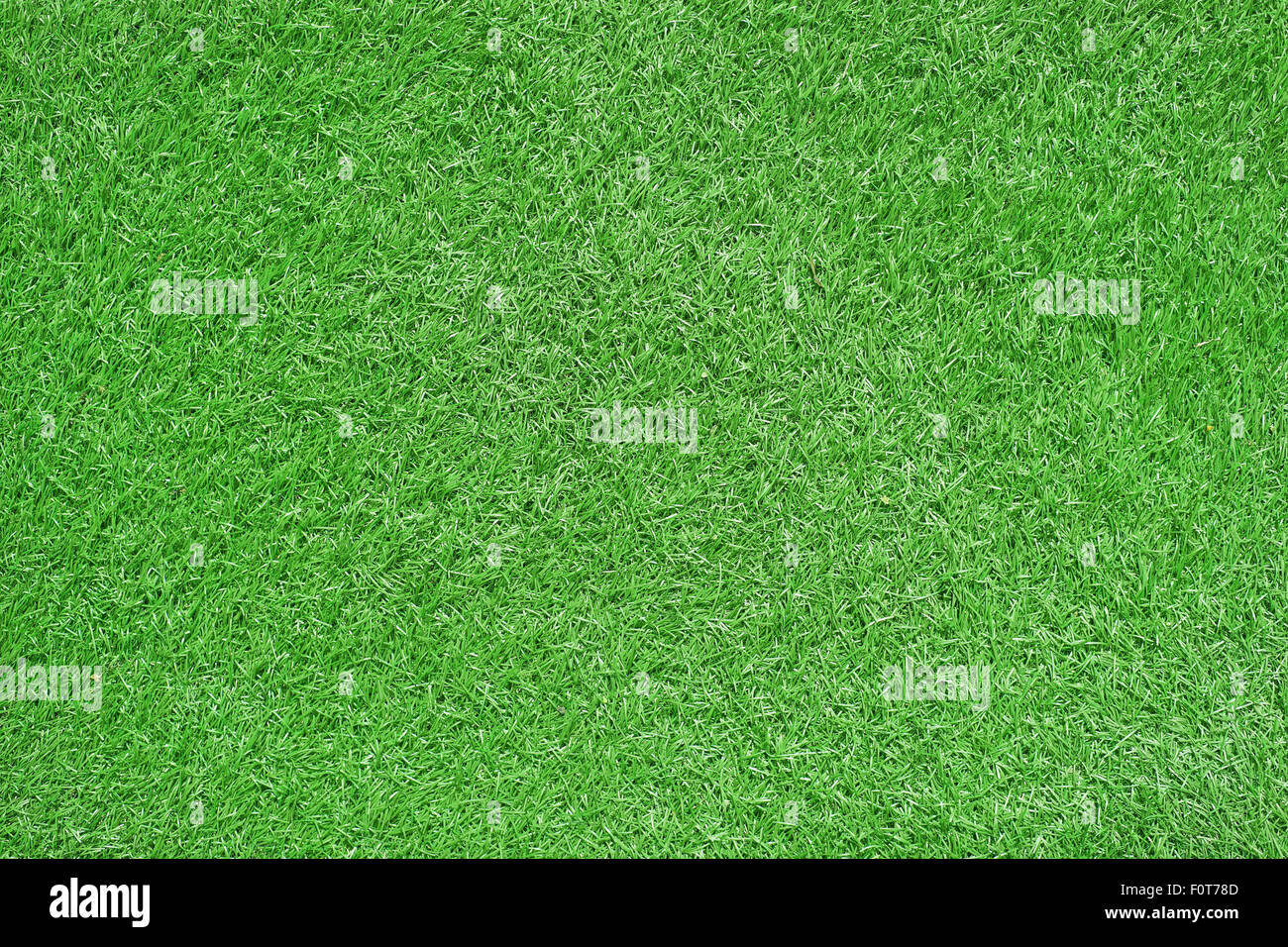 L'herbe verte comme arrière-plan ou de texture Banque D'Images