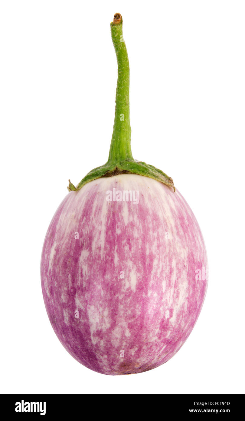 Heirloom aubergine isolé sur fond blanc Banque D'Images