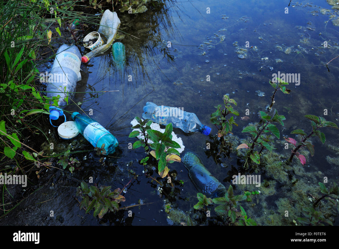 Les déchets jetés dans l'eau, delta du Danube, Roumanie zone rewilding Banque D'Images