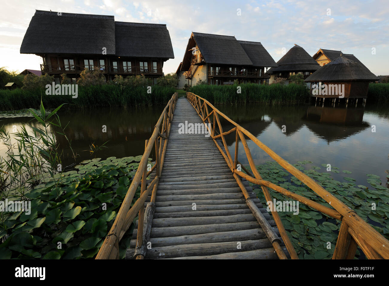 Village Green Lodge, Sfinthu Gheorghe, delta du Danube, zone rewilding Roumanie Juin 2012 Banque D'Images