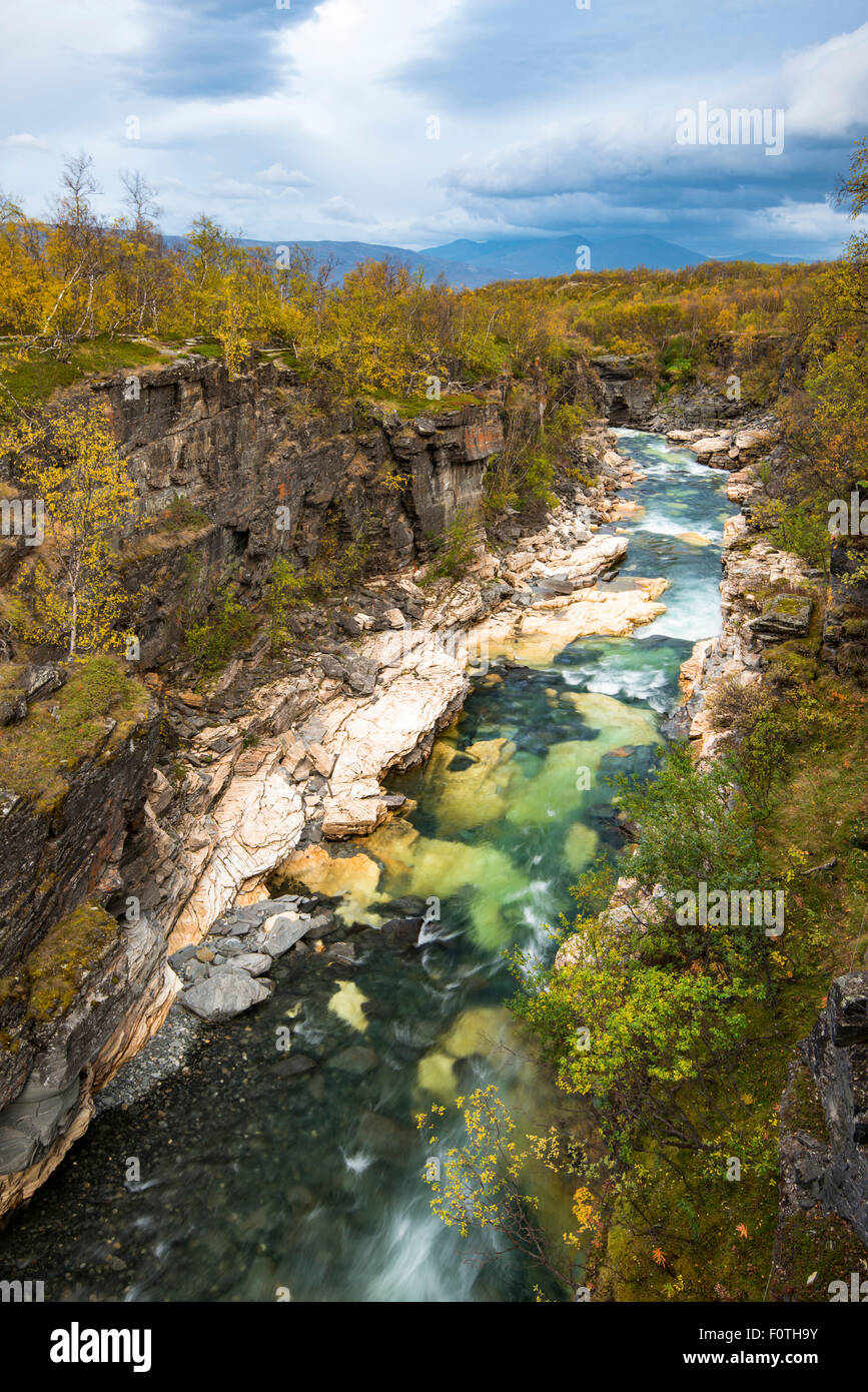 L'automne à Abisko canyon, Abisko National Park, Norrbotten, Laponie, Scandinavie, Suède Banque D'Images