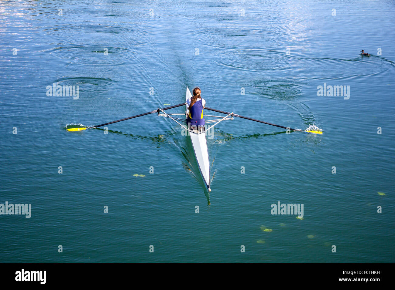 Jeune fille formation rameur aviron sur le lac, à son canard sauvage Banque D'Images