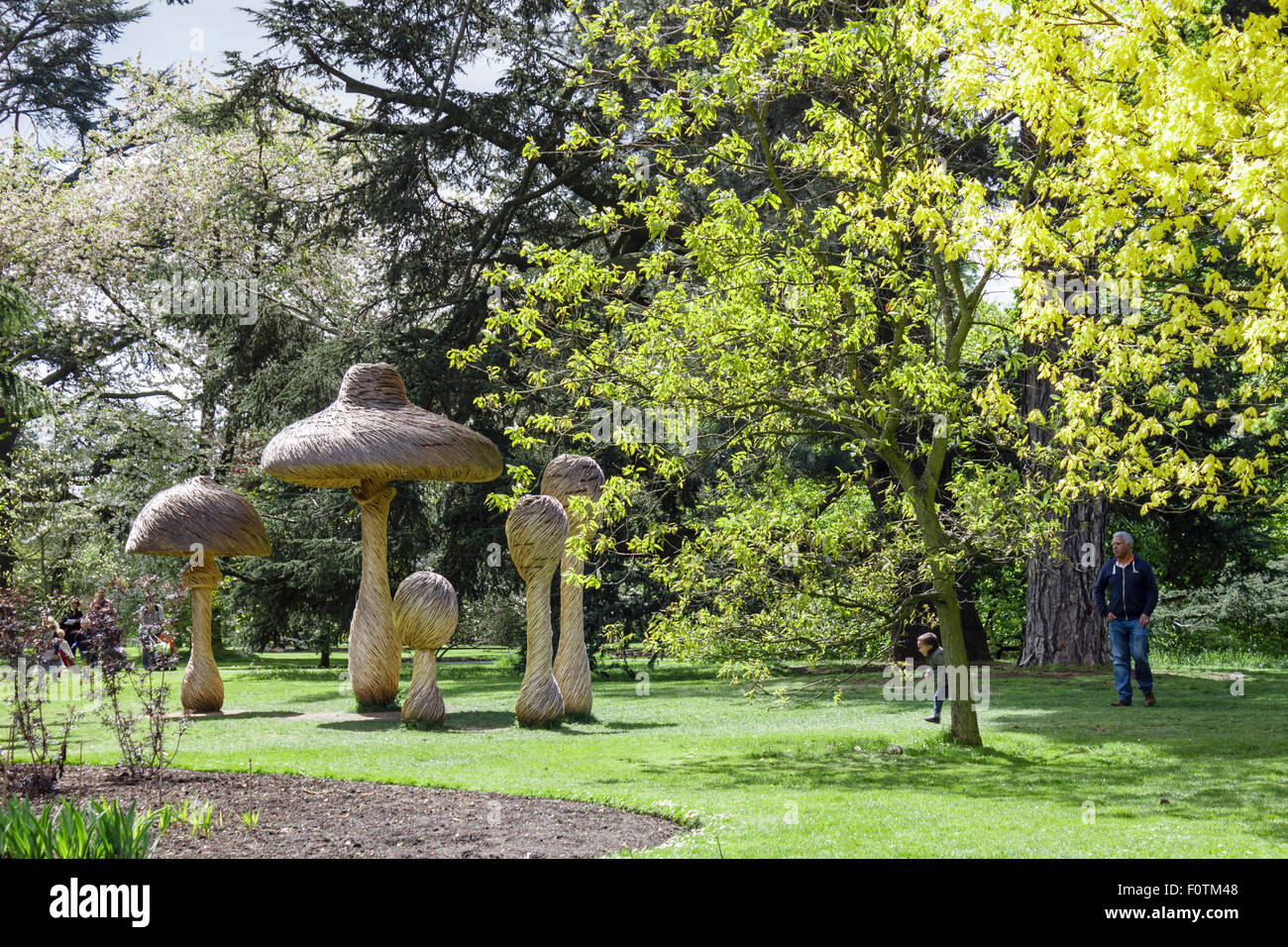 Des champignons géants faits de willow par artiste Tom Hare. Kew Gardens, London, UK Banque D'Images