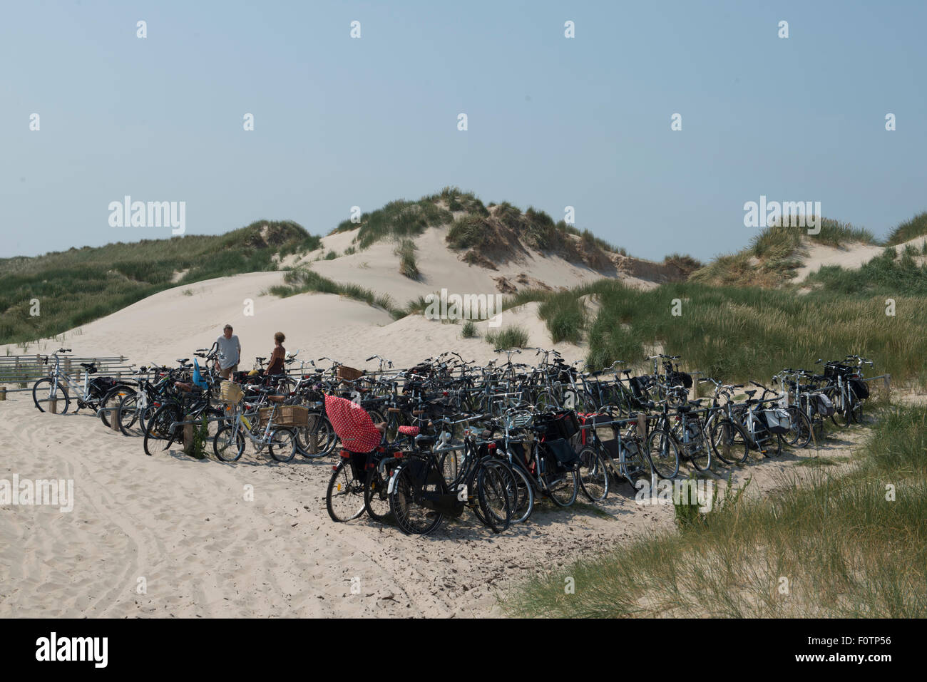 Les vélos sur les stands dans les dunes de Bergen, Pays-Bas Banque D'Images