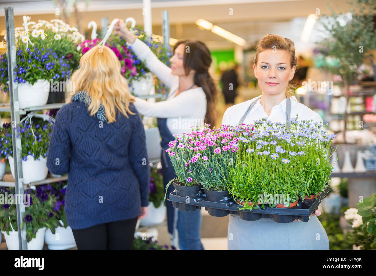 Les plantes à fleurs avec fleuriste exerçant son collègue assisting customer Banque D'Images