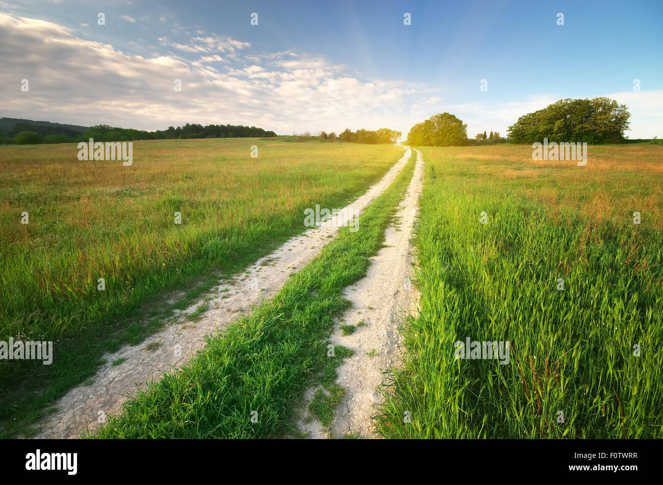 Route de campagne et montagne. Composition de la nature. Banque D'Images