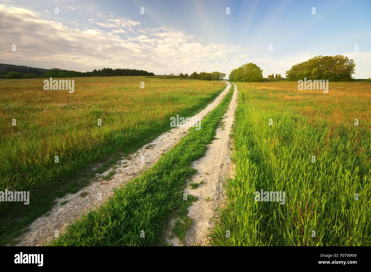 Route de campagne et montagne. Composition de la nature. Banque D'Images
