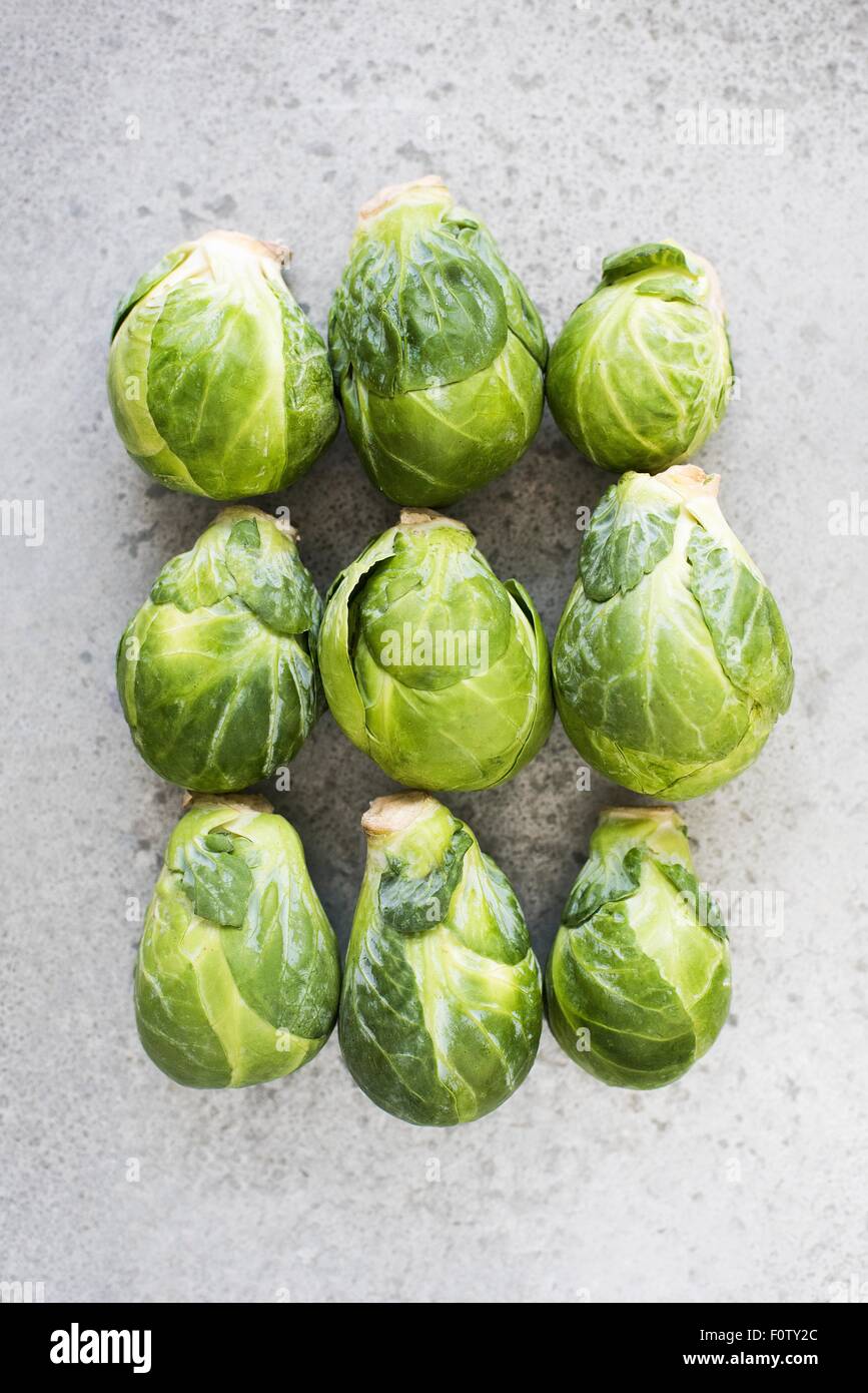 Les choux de Bruxelles dans les rangées, close-up Banque D'Images