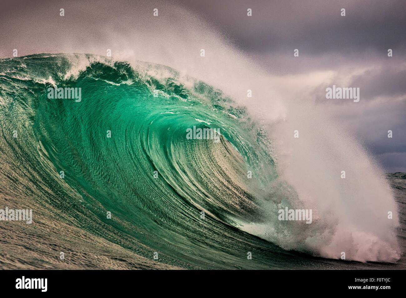 Aileen's wave, les Falaises de Moher, Irlande Banque D'Images