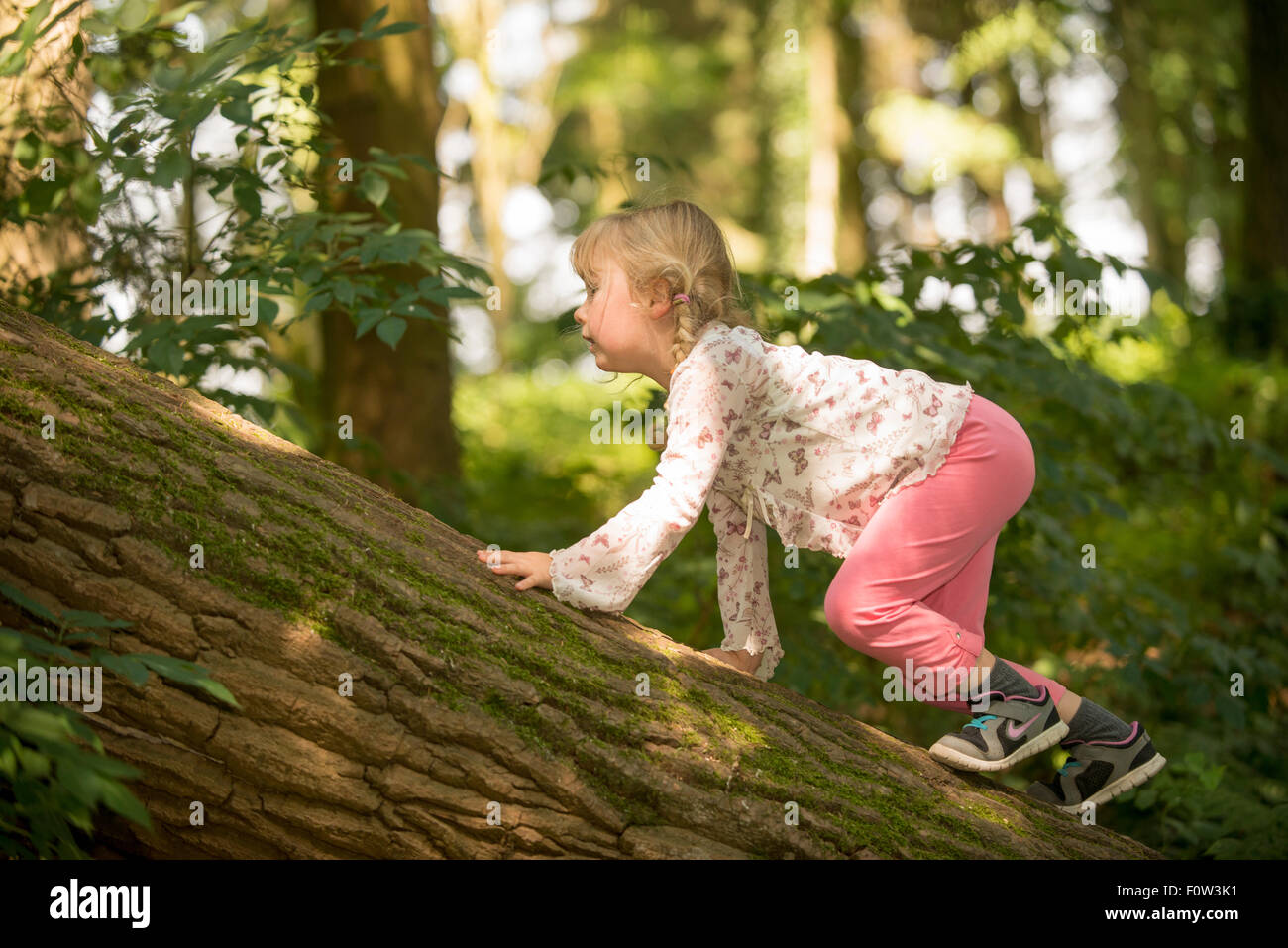 Petite fille sur camion arbre rampant . Banque D'Images