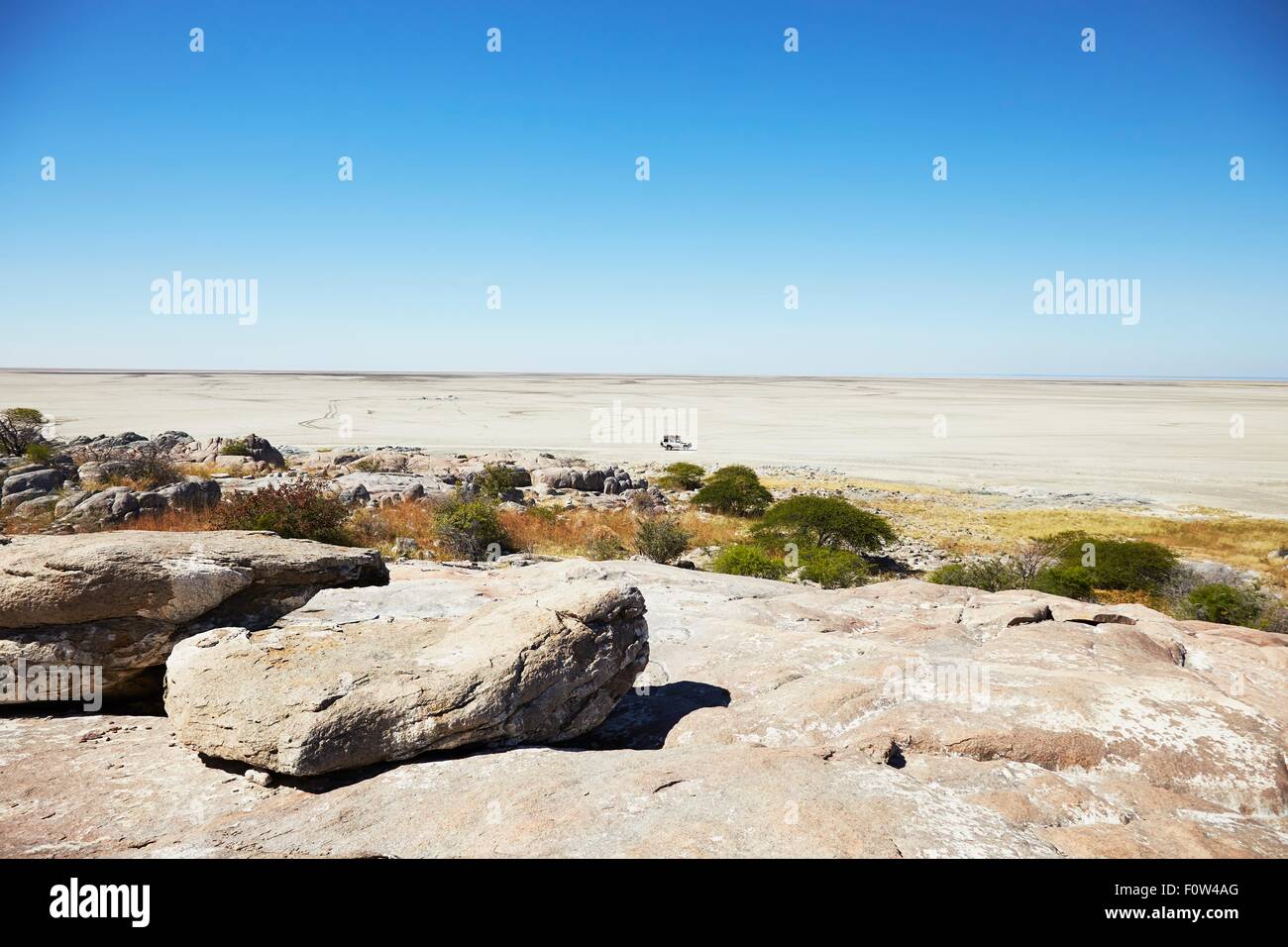 Kubu Island, Makgadikgadi Pan, Botswana, Africa Banque D'Images