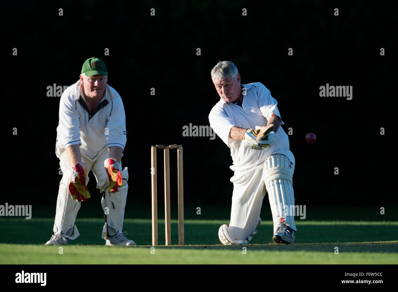 Batteur de cricket senior en action. Banque D'Images