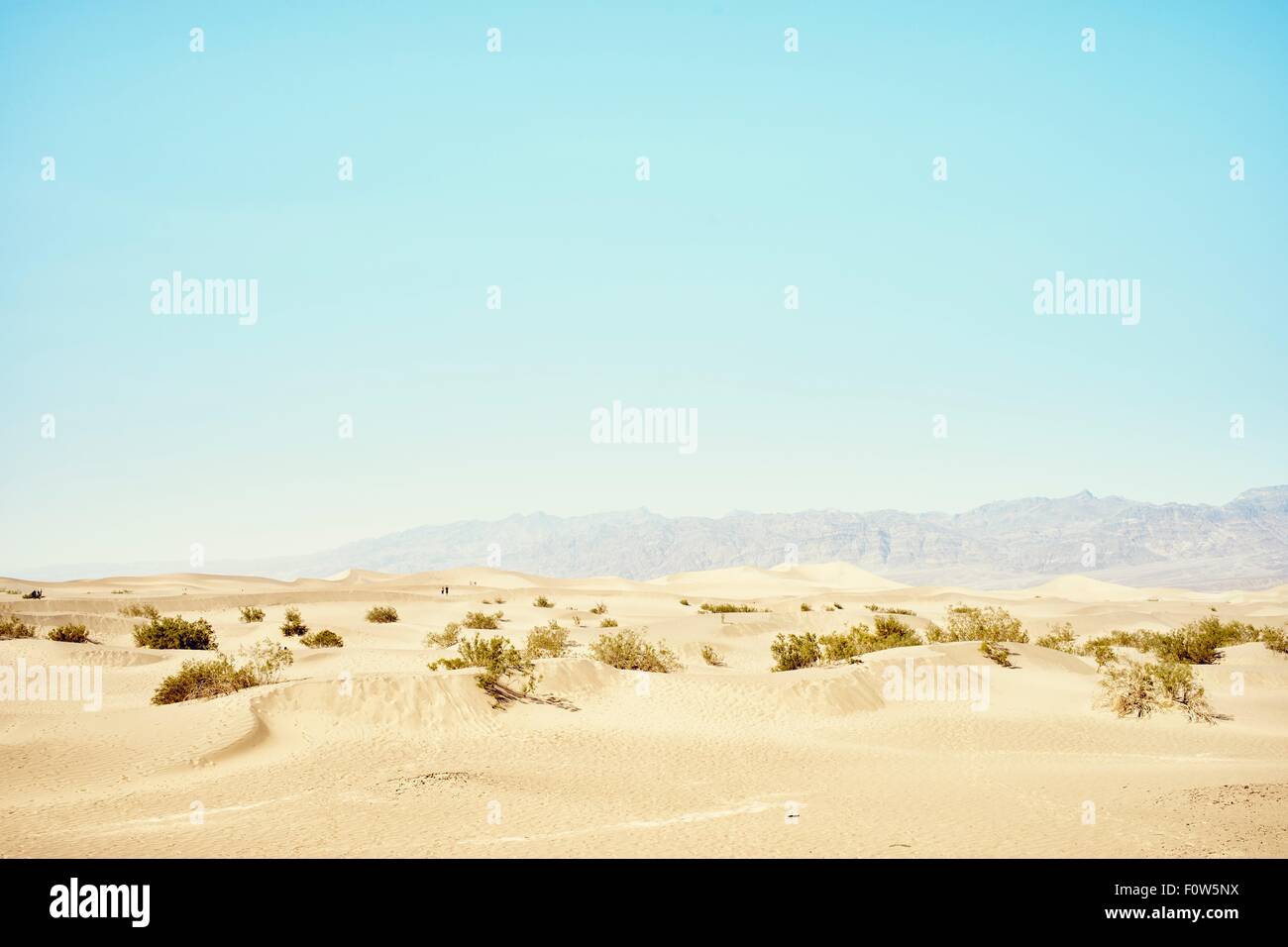 Avis de Mesquite Dunes, Death Valley, California, USA Banque D'Images