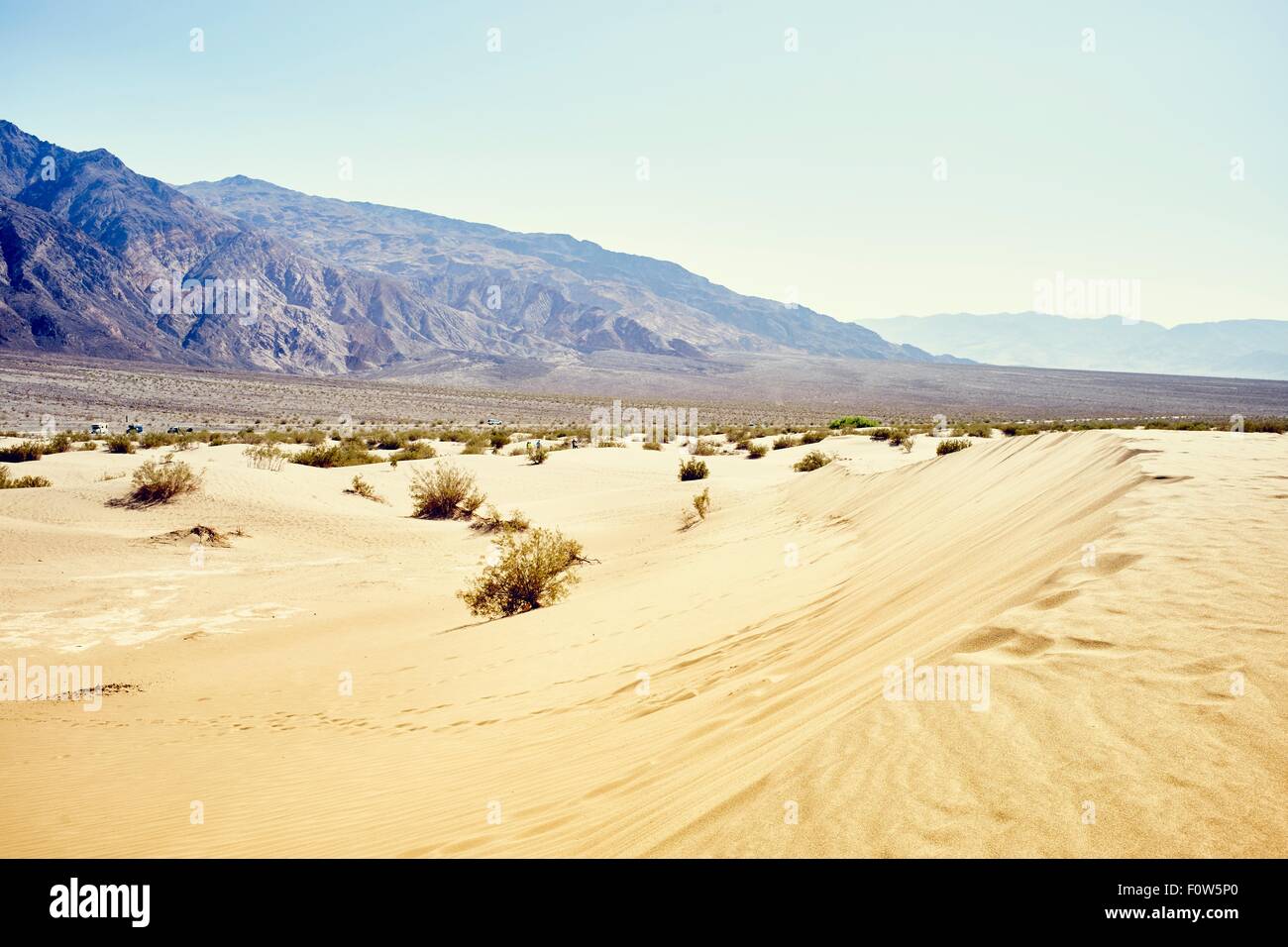 Vue paysage de dunes Mesquite, Death Valley, California, USA Banque D'Images