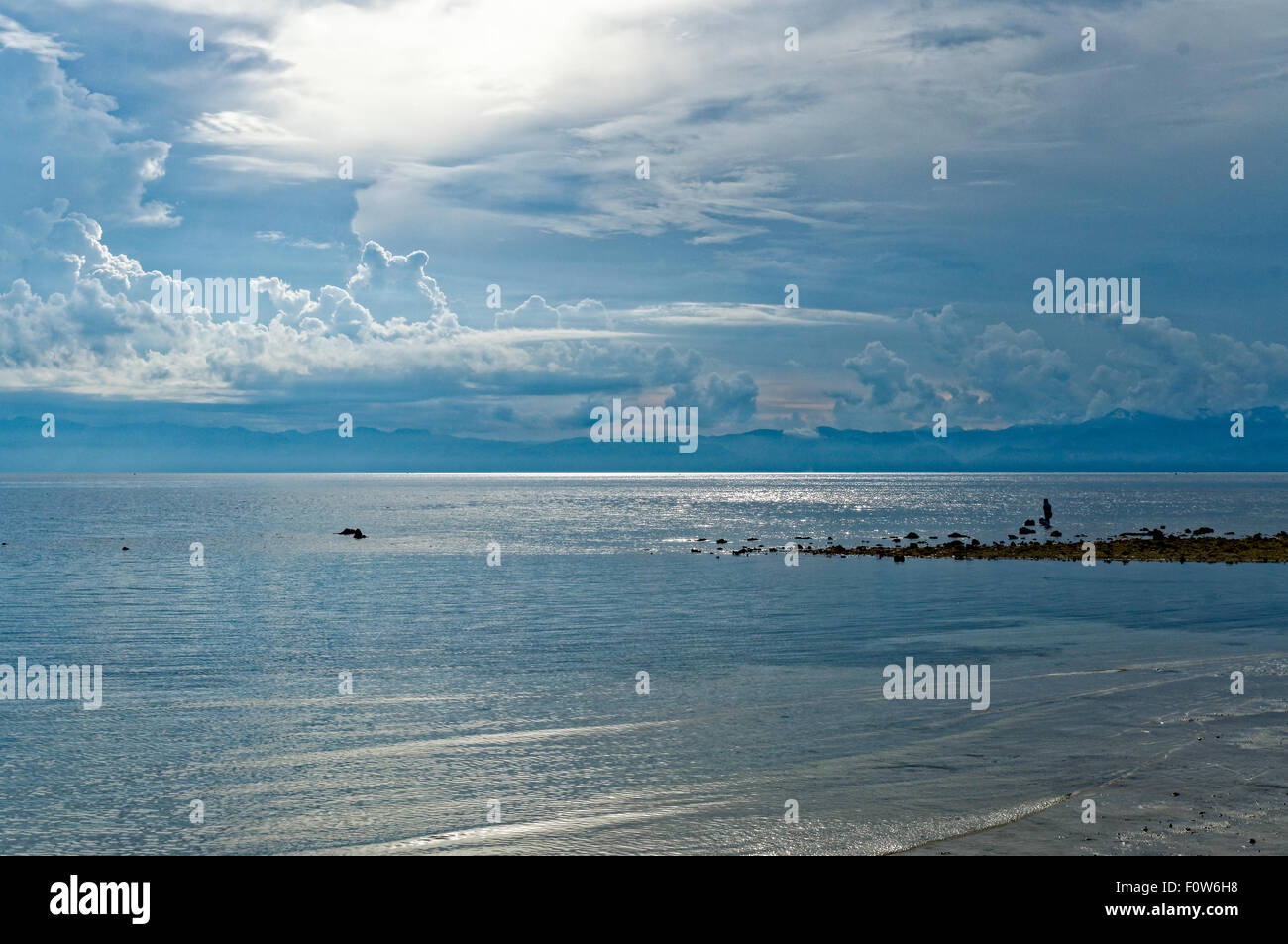 Rechercher des habitants de coquilles de mer lors d'une marée basse. Au cours d'une marée basse du début de l'après-midi jusqu'au soir, les résidents locaux pour la mer en direct Banque D'Images