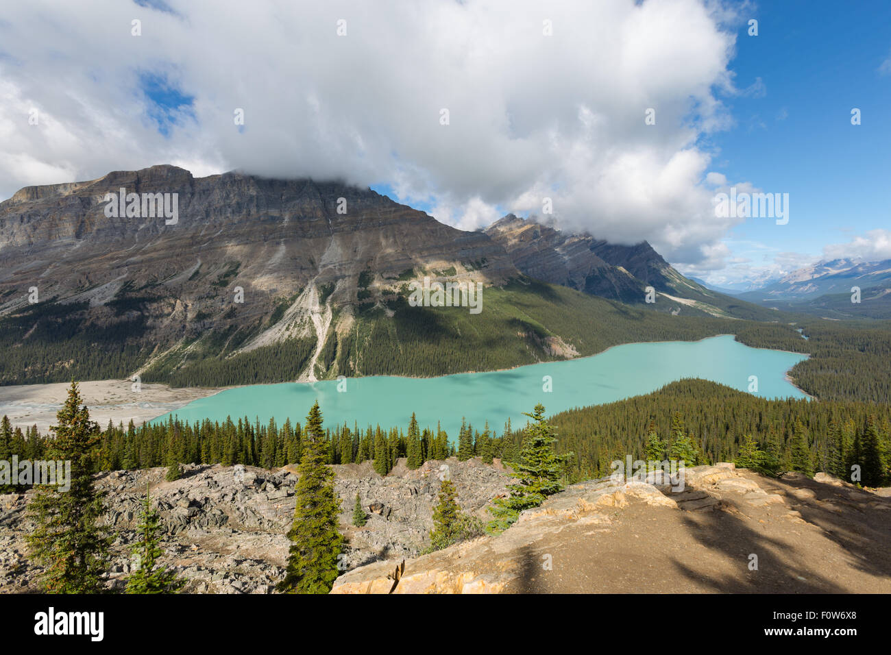 Lac Turquoise, Peyto Alberta Rockies Banque D'Images