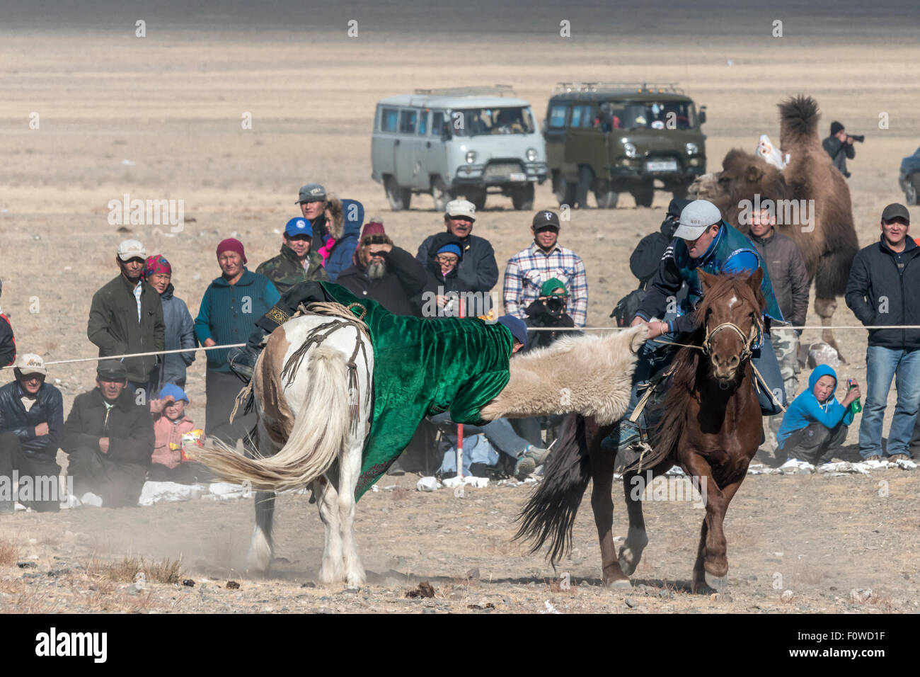 Concurrent sur le point d'obtenir tiré sur son cheval, Kukhbar la concurrence au Festival de l'Aigle, Olgii, l'ouest de la Mongolie Banque D'Images