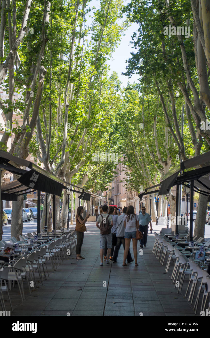 Cafés dans Av de Alfonso X el Sabio, ville de Murcie, Murcie, Espagne, Europe Banque D'Images