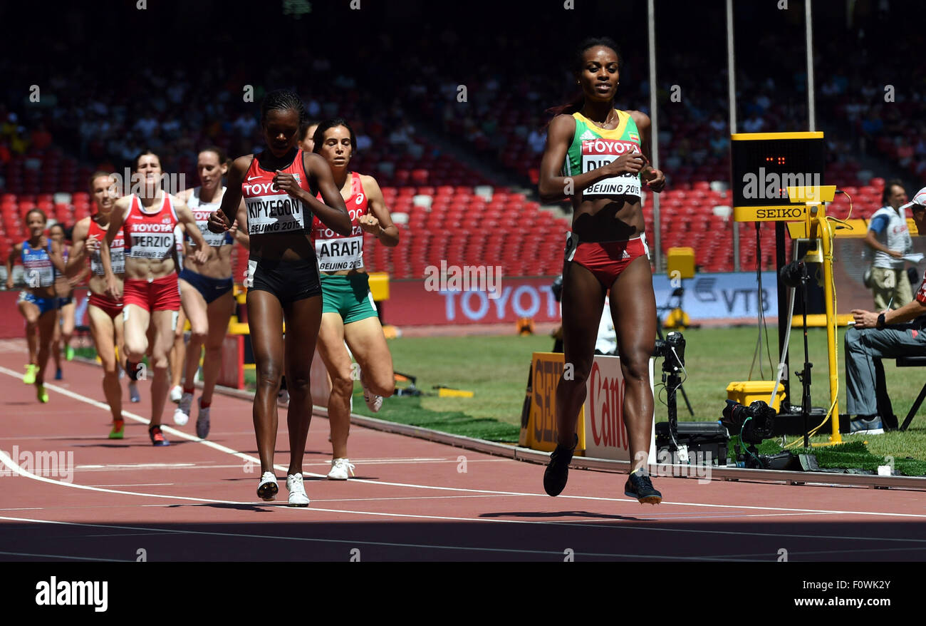 Beijing, Chine. Le 22 août, 2015. Genzebe Dibaba (1e R) de l'Éthiopie est en concurrence au cours de premier cycle de la WOMEN'S 1500 mètres à la 15e Championnats du monde d'athlétisme 2015 à Beijing, capitale de Chine, le 22 août 2015. (Xinhua/Li Gang) Credit : Xinhua/Alamy Live News Banque D'Images