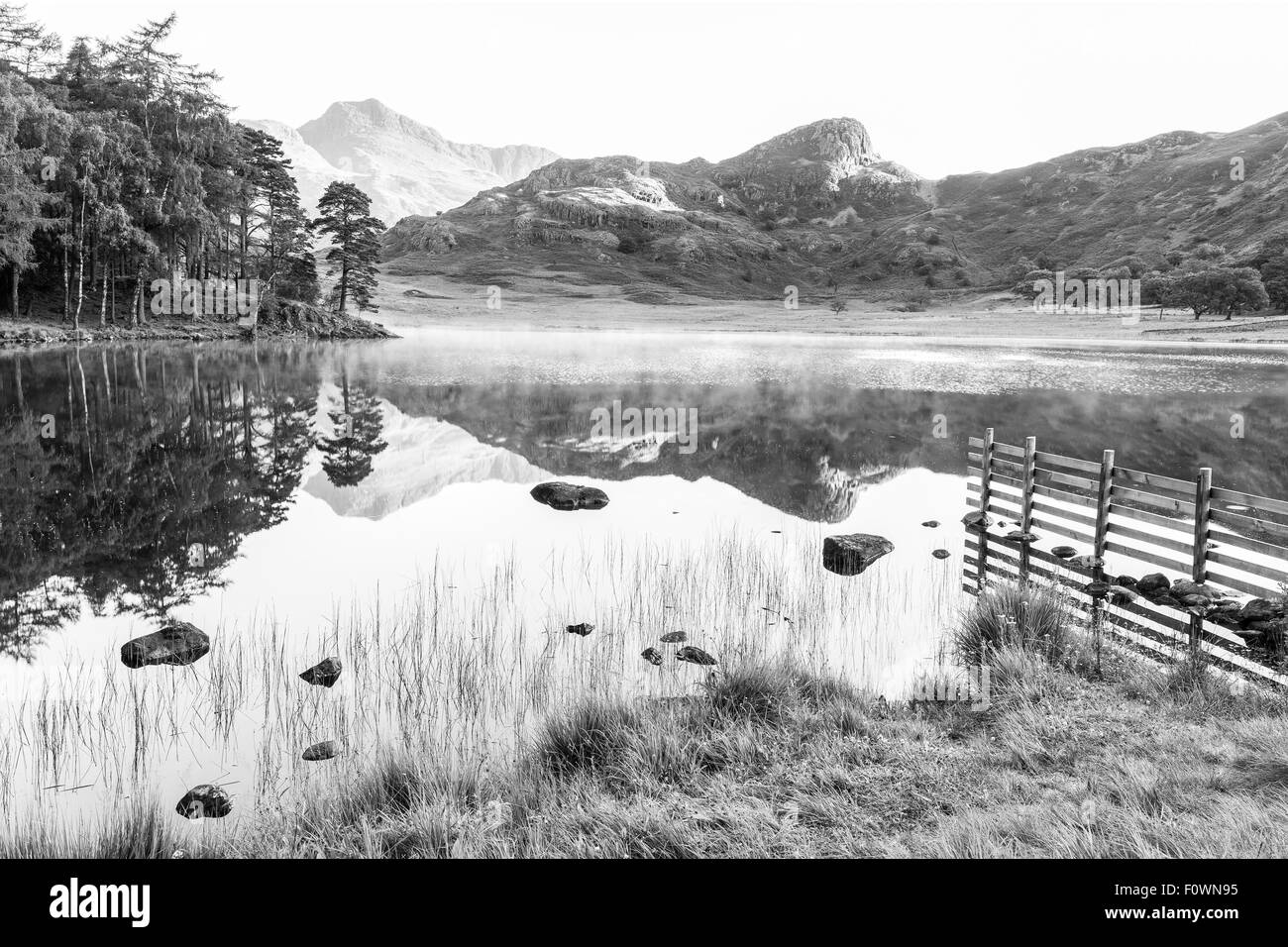 Une près de reflète parfaitement le côté Langale Pikes et Pike dans Blea Tarn, peu dans le Langdale Parc National de Lake District Banque D'Images