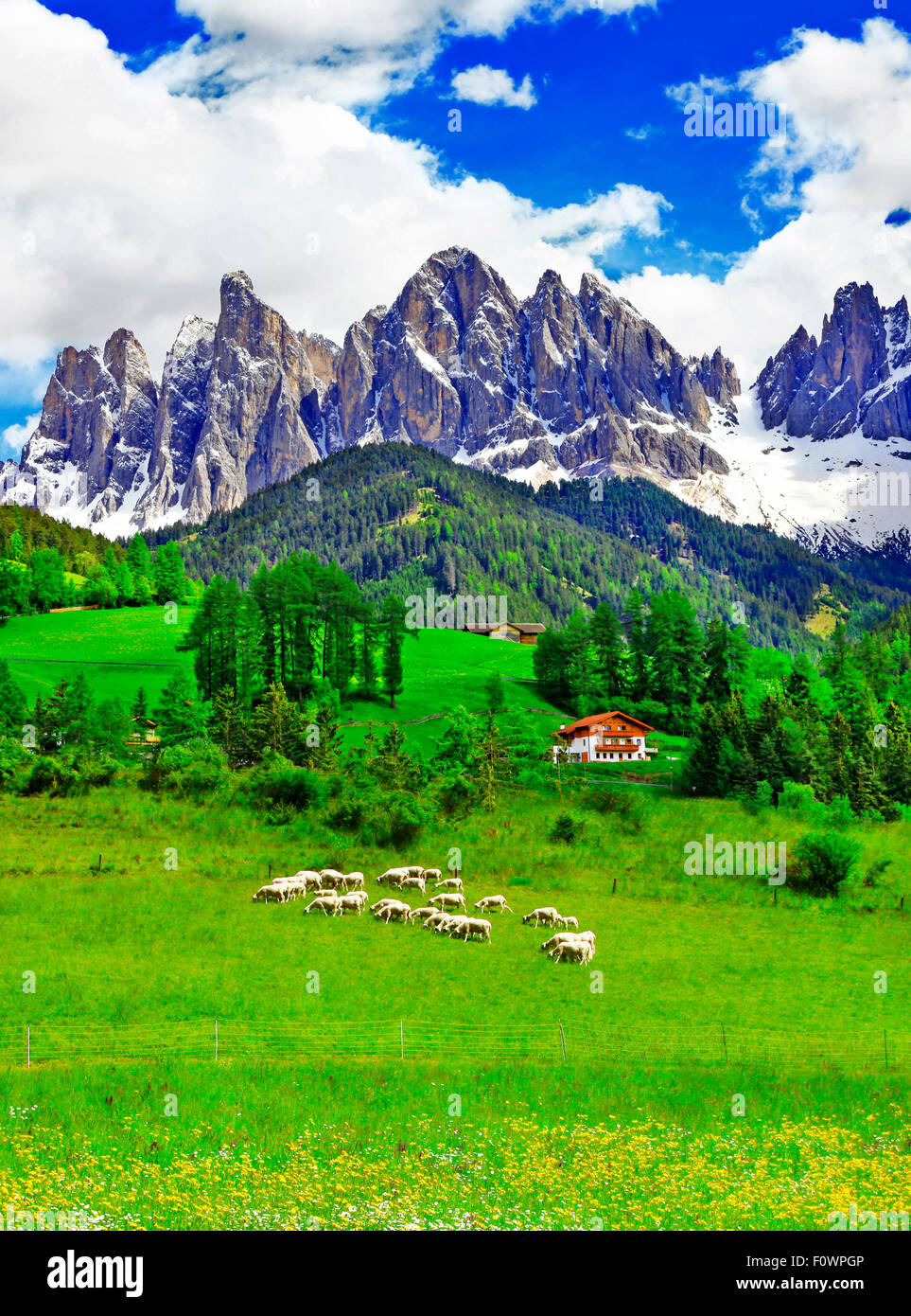 La nature incroyable de montagnes des Dolomites,vue panoramique,Italie Banque D'Images