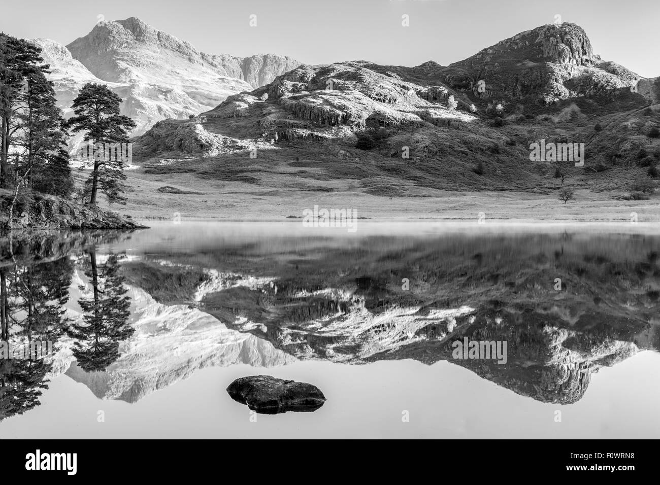 Une près de reflète parfaitement le côté Langale Pikes et Pike dans Blea Tarn, peu dans le Langdale Parc National de Lake District Banque D'Images