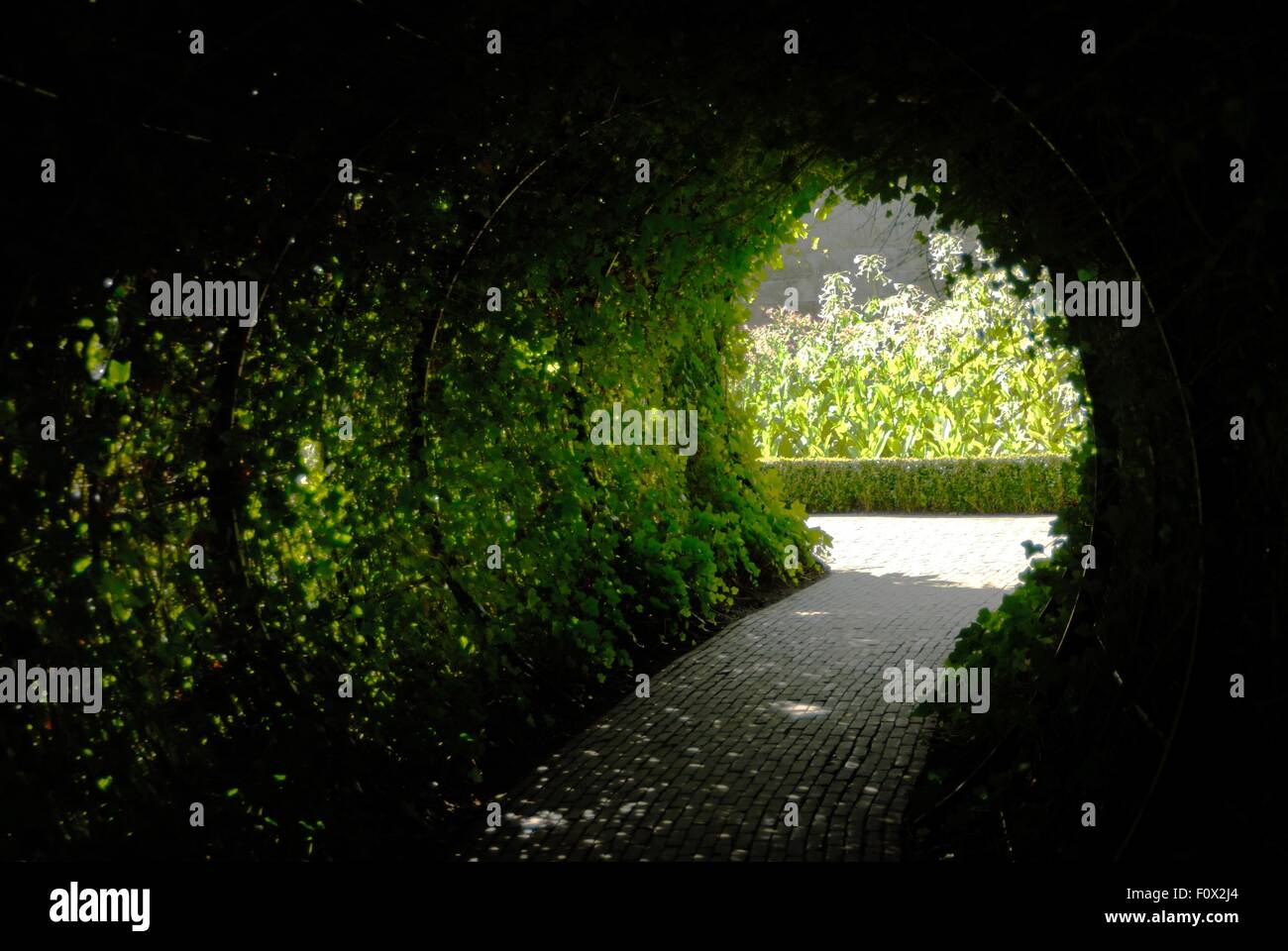 Tunnel de végétation Banque D'Images