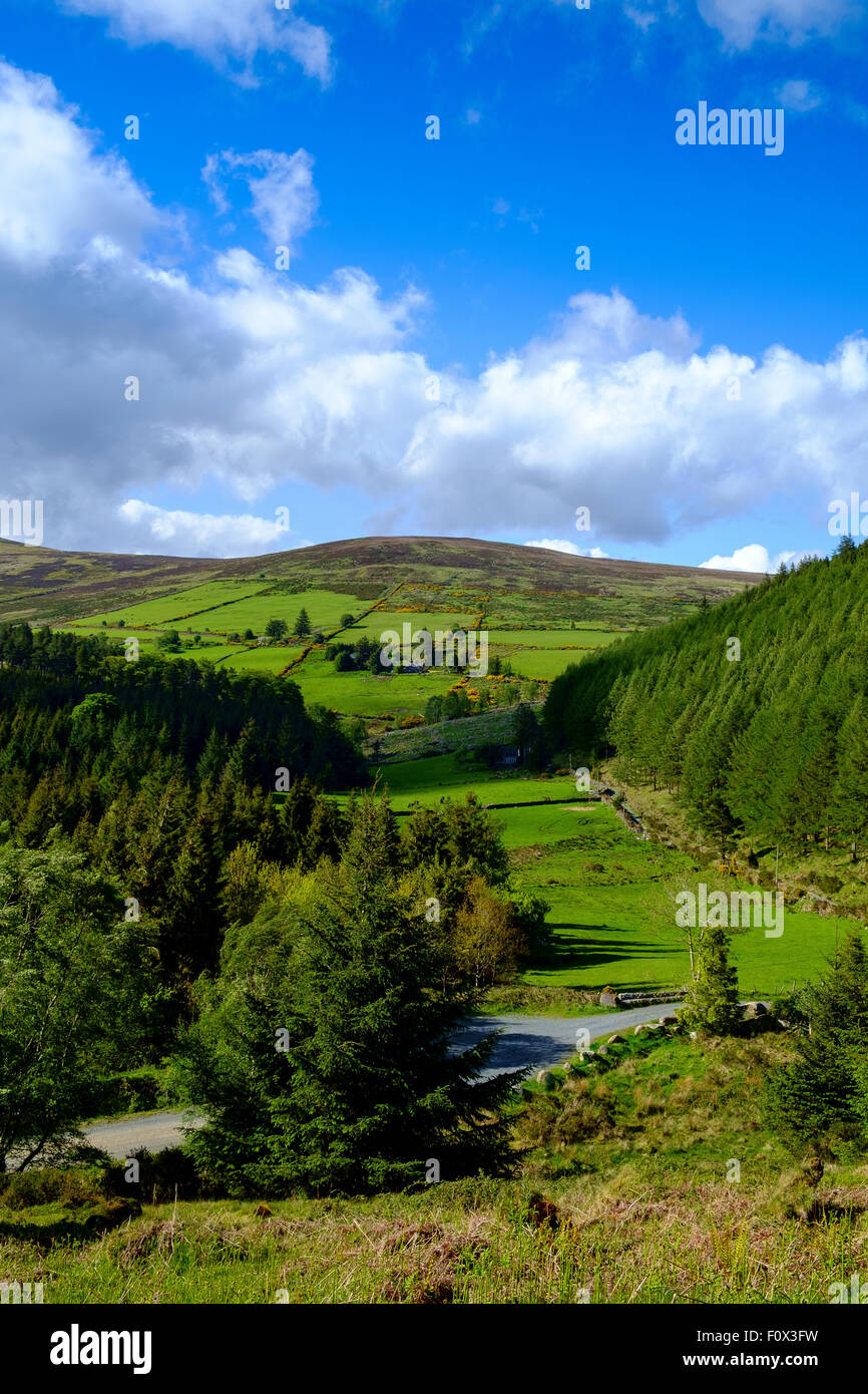 Campagne irlandaise Irlande Royaume-Uni champs verts des terres agricoles Banque D'Images