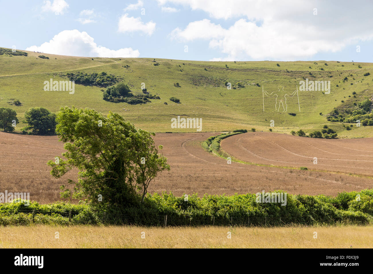 Le Long Man de Wilmington à distance, East Sussex, UK Banque D'Images