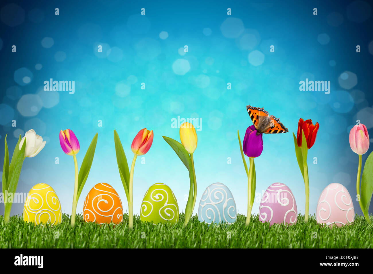 Les oeufs de Pâques et des tulipes en face de fond bleu Banque D'Images