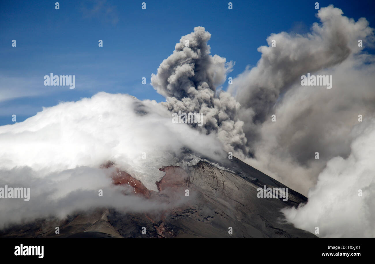 Quito, Equateur. Août 22, 2015. Une colonne de cendres qui émane du cratère du volcan Cotopaxi est vu de la Loma del Panecillo, à Quito, capitale de l'Équateur, le 22 août 2015. Un rapport de l'Institut géophysique de l'Équateur, a déclaré que l'activité éruptive du volcan Cotopaxi est maintenu avec une charge de la vapeur en continu des émissions de et avec la moyenne et la charge de cendres modérée, de sorte que l'alerte jaune est maintenu. Credit : Santiago Armas/Xinhua/Alamy Live News Banque D'Images