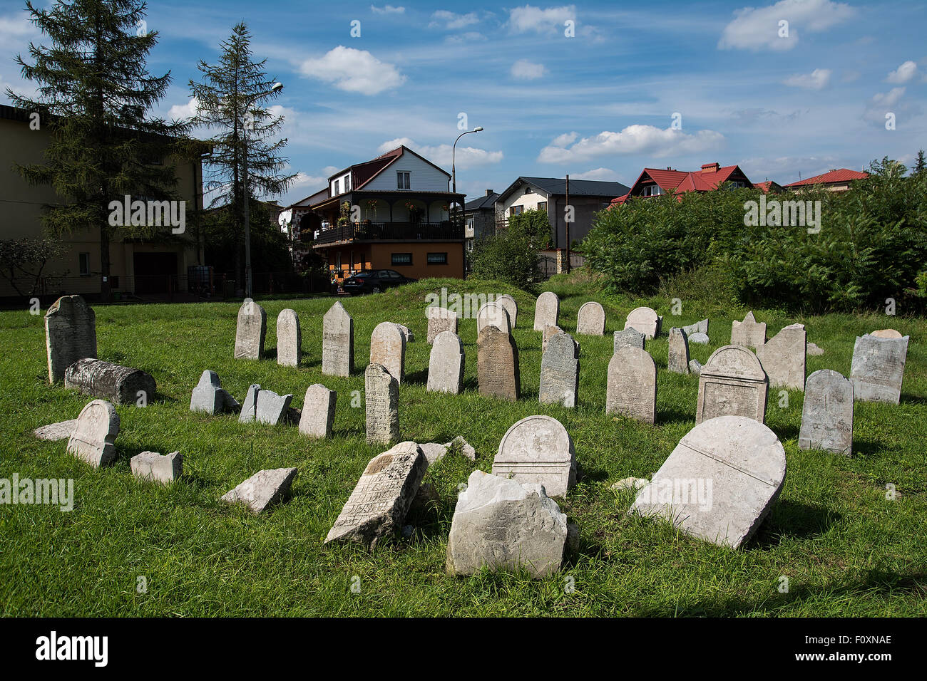 Cimetière juif d'Olkusz (Pologne) Banque D'Images